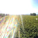 영상농장2 이미지