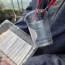 꼭지내농장 이미지