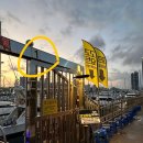 부산&lt;고고요트&gt; 광안리 요트투어⛵ 내돈내산 추천, 후기