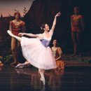 2025 문화광장콘서트 - 봄이 오는 소리 이미지