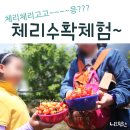 스마일교육농장