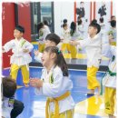 드래곤태권도 이미지