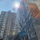 티엠세라믹