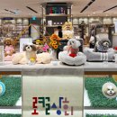 현대상회 이미지