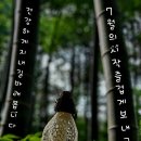 진주현대종합정비 이미지