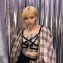 디자인정연 이미지