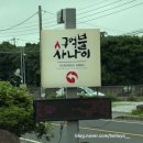 대정 - 동해시 중앙로 233 | 대정 짬뽕 맛집 구억불사나이 후기