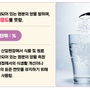 염도 티스토리