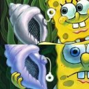 전지적 돼지시점 | 벌써 한해 끝 ..?)전지적 주인장 시점의 연말