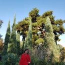 참한우마루 | 과천나들이 :: 온누리장작구이 &amp; 마이알레 온실카페!