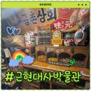 운정동물약국 | 파주근현대사박물관 완전 정복 전시 관람 팁 총정리