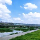 신녕천강변공원 이미지