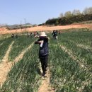 산포인력