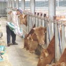 우명농장 이미지