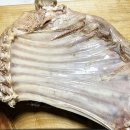 명품염소농장 이미지