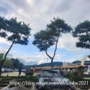 반딧불도서관 | [키즈·체험]무주반딧불축제 일정 예약방법/반디신비탐사 방문솔직후기/준비물/서식지이동시간/주차팁...