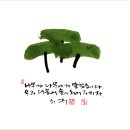 더불어숲