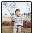 강변그린세탁 이미지