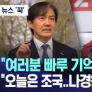 여러분 빠루 기억나십니까 오늘은 조국 이미지