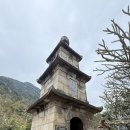 수원-2018 | 하노이 여행 마지막 날｜옌뜨 케이블카와 동수원시장, 다시 만난 2018년의 기억