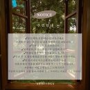 아브히
