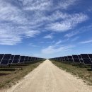 세종 햇빛발전소 이미지