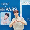 포레스트(forest) 이미지