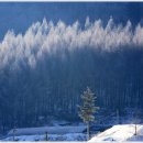 하늘연못 이미지