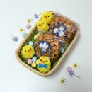 둥지유치원 | 부활절 간식 추천 새알둥지오란다 교회 성당 어린이 답례품으로 딱이에요