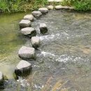 징검다리 이미지