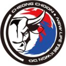 도전태권도 네이버블로그