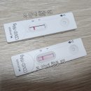 코마시스 이미지