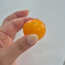디지털 포토배송 노동조합 | 2025년 6월 일상_부제: 삽질하다 새 길 파는거야~ 하카두!!