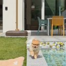 스테이 라라온 이미지