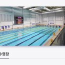 포항수영장 수영장 | 포항 다원복합센터 수영장 자유수영 후기(+튼튼머니 적립하기)