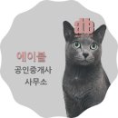 에이블공인중개사사무소 이미지