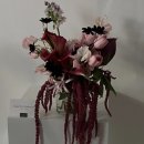 디어 마이 망고 | W16 | 25년 양재 at포레 웨딩홀 본식 후기