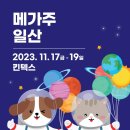주식회사 메쎄이상 이미지