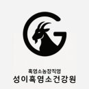 부부건강원 - 사천시 갈대샘길 69 | 부부건강원