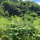 마하공인중개사사무소 이미지