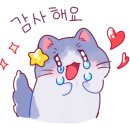 라라헤어 이미지