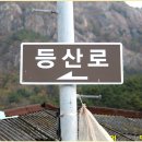 사량초등학교돈지분교장 이미지