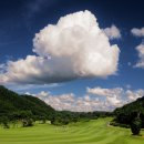 서남민물고기 이미지