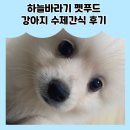 하늘바라기펫푸드 강아지수제간식 강아지케이크 | [냠냠] 하늘바라기펫푸드 기장 강아지 케이크, 기장 강아지 수제간식