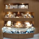 (주)펫노블레스 이미지