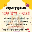 동물보육원 고양이 후원 카페 이미지