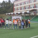 제주대학교교육대학 부설초등학교 이미지