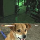 똘이농장 이미지