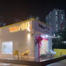 옐로우연화 이미지