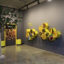 꿀벌랜드 이미지